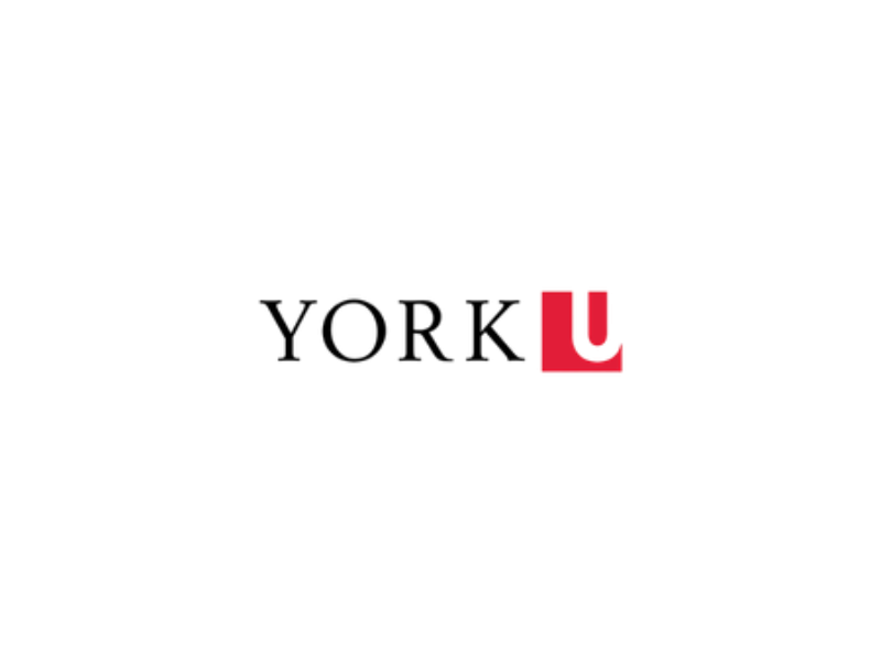 York University